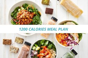 1200 calories